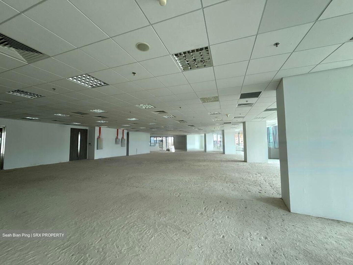 PLUS (D1), Office #474901911